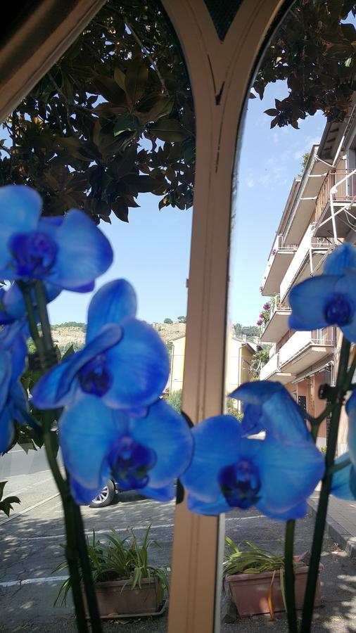 Hotel Ristorante Umbria Орвието Екстериор снимка